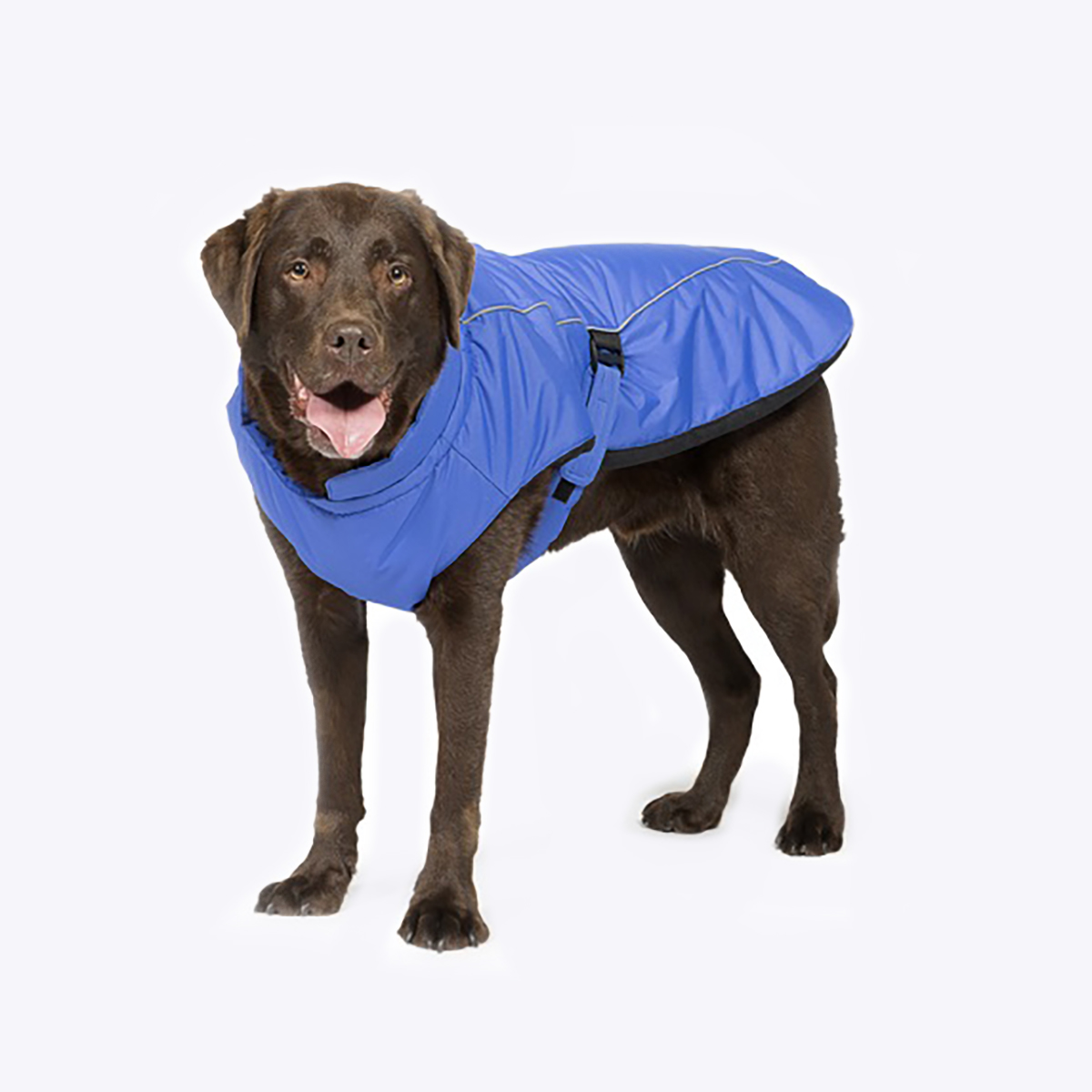 DCSBD Sports Luxe Dog Coat Blue