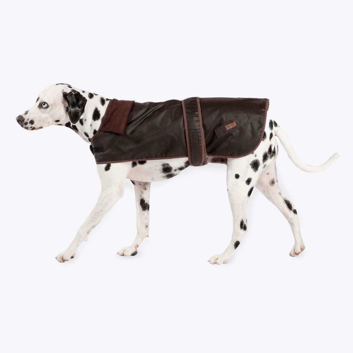 DCFFWSD FatFace Sussex Wax Dog Coat