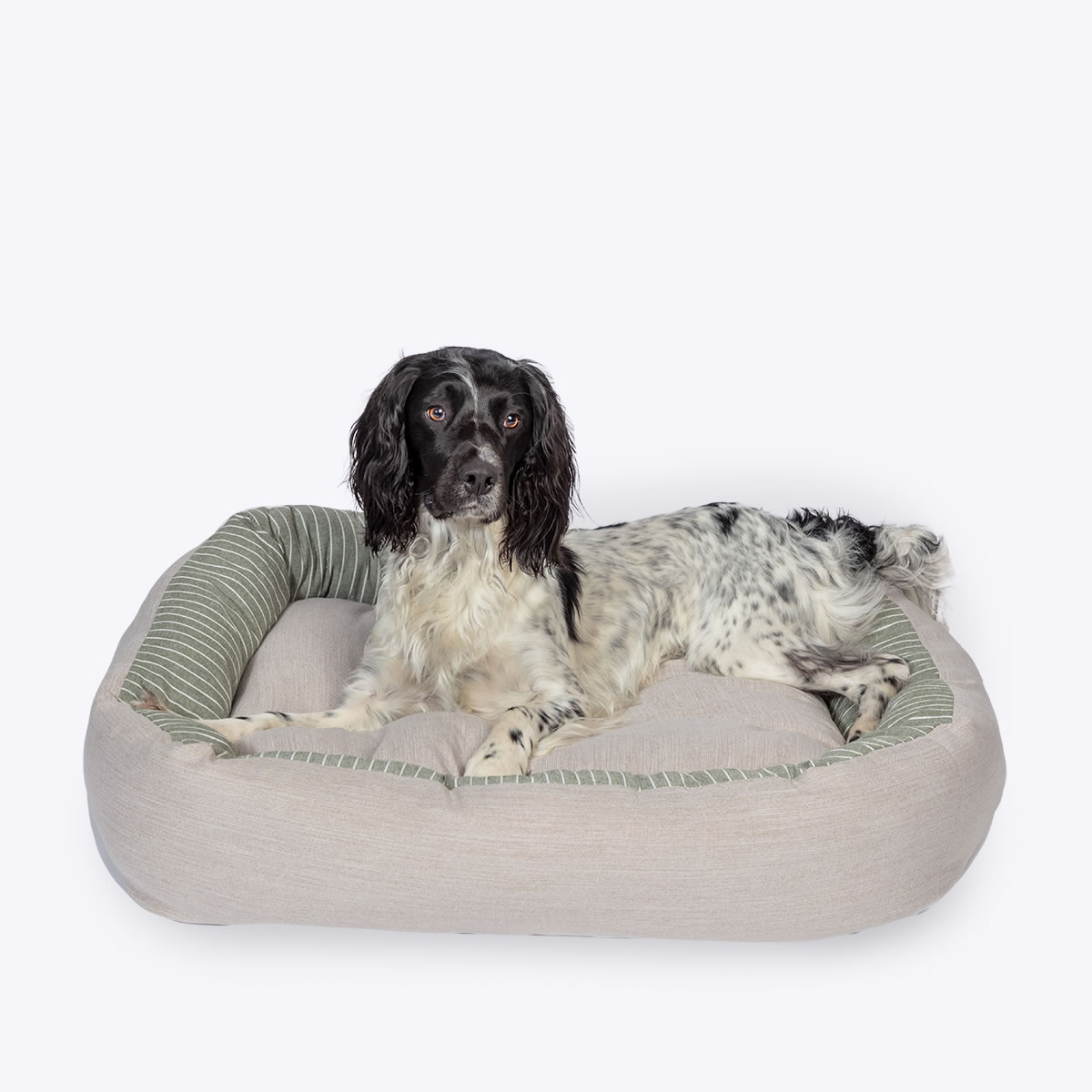 RSSD Rustic Stripes Sage Snuggle Bed