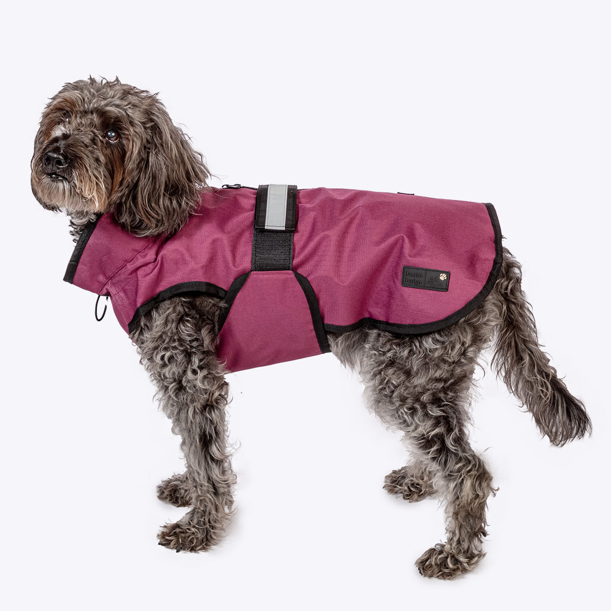 DCPLMD 3-in-1 Dog Coat Plum